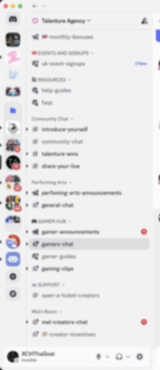 Community server structure, blurred for privacy